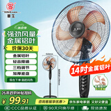 华生（Wahson）电风扇/落地扇/金属铝叶风扇/家用办公电扇/大风量低噪省电立式电风扇交流定频风扇 FS-D1401