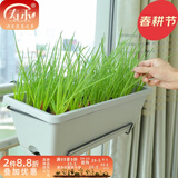 寿禾 壁挂花盆长方形霍伦种菜盆蔬菜盆带盆托阳台养花常用菜盆 灰白色霍伦盆(含支架)2个