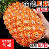 正宗海南金钻凤梨新鲜现货手撕大果巨大号多汁不需挖眼水果包邮 金钻凤梨净重2.5-3斤2-3个【小果】