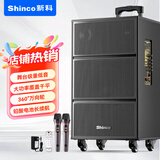 新科V50广场舞音响户外大音量拉杆音箱五喇叭木质箱体大功率家用K歌移动摆摊低音炮 10吋双咪