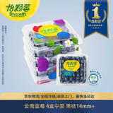 怡颗莓Driscoll's 云南蓝莓14mm+ 4盒装 约125g/盒 新鲜水果