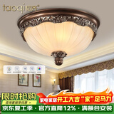 韬齐 欧式吸顶灯客厅现代简约主卧室灯美式阳台灯具 J2003-中号 直径35CM 配单色LED灯泡