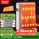 澳柯玛（AUCMA）13片油汀取暖器/取暖器家用/取暖电器/电暖器/电暖气片烤火炉油丁13片电热油汀电暖炉206-13