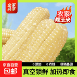 甜糯白玉米 白糯玉米 粘玉米新玉米真空包装粘玉米糯玉米 甜糯白玉米2棒 单棒均重>180g