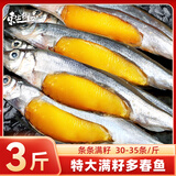东上御品辽宁 满籽多春鱼净重3斤 L规格大号满籽 烧烤煎炸食材-源头直发