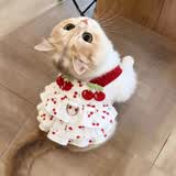 阿莫尔猫咪衣服夏天薄款甜美连衣裙防掉毛布偶金渐层狗狗衣服吊带蛋糕裙 樱桃蛋糕裙【透气柔软】 XS（建议1-3斤 参考胸围背长）