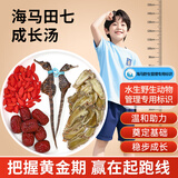半山农 海马田七增高汤 儿童成长增高海马一公一母三七中药材枸杞组合装