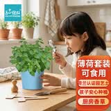 IAM City Farmer薄荷DIY植物盆栽幼儿园趣味种植盆栽桌面种植可食用薄荷种子10082