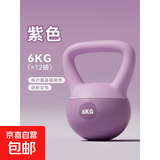 品健（PINJIAN）壶铃男女健身家用器材软体健身球提壶哑铃甩壹铃瘦肚子铃壶 6KG-紫色软壶铃【男女士基础训练】
