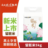 天地粮人甄制胚芽米10斤 东北大米10斤当季新米保留胚芽粳米