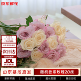京东鲜花玫瑰花随机颜色20枝(1-2种颜色)如意基地鲜切花生活花束源头直发