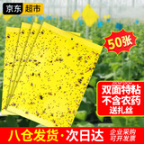 楚婕雅双面粘虫板黄板诱虫板灭苍蝇贴果蝇纸灭蚊黏虫小飞虫诱捕神器50张