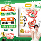 十月稻田 当季新米 油粘米 银牙香粘米（南方大米 籼米 10斤）
