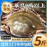 梭子蟹鲜活特大野生舟山大螃蟹海鲜新鲜冷冻海蟹水产飞蟹白蟹顺丰 9两以上/只 【净重5斤 舟山直发 坏单包赔】