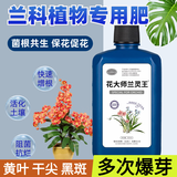 花大师兰灵王兰花专用营养液肥料蝴蝶兰君子兰多箭素兰陵王杀菌药 兰灵王525ml 发酵黑色原液 富含兰菌群