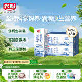 光明纯牛奶200ml*24盒*2箱优质乳蛋白早餐奶营养奶家庭分享装送礼