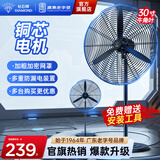 钻石牌（DIAMOND）工业风扇大风力电风扇强力落地式大风量牛角扇大功率商用吹除甲醛工厂车间工地立式摇头落地风扇WY 【铜芯】30吋落地扇/FS-75 【好品质/敢承诺】本店支持两年换新