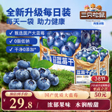 三只松鼠每日蓝莓干256g/16包 无添加水果干果脯小包装儿童老人办公室零食