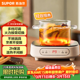 苏泊尔（SUPOR）电陶炉煮茶电磁炉家用电磁炉灶新型迷你小型简易大功率速热轻音火锅围炉煮茶炉C10-CS15