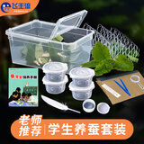飞主流蚕宝宝蚕卵学生养蚕套装养蚕专用盒饲养盒养蚕盒大号养蚕工具套装