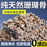 鱼池过滤材料鱼缸滤材套装 珊瑚骨火山石陶瓷环活性炭纳米球 珊瑚骨 20斤【配4个网袋】