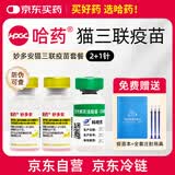 哈药妙多安猫咪疫苗猫三联疫苗2针+科旺优1针猫幼猫疫苗妙三多平替