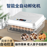 一望孵化机全自动鸡蛋孵化器家用型孵蛋器小型智能小鸡孵化箱 6枚孵化器单电【自动翻蛋+自动补水】
