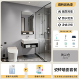 三青水性瓷砖玻璃漆家用墙面卫生间耐磨防水漆翻新改色漆套装 浅灰色