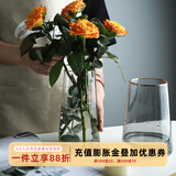 舍里 舍里 轻奢描金北欧简约装饰摆件玻璃花瓶透明创意餐桌INS插花器  透明描金中号（高度25cm）