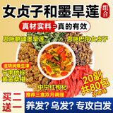 贡苑升级4味配方】女贞子和墨旱莲桑葚枸杞组合茶80包白乌养发中药材