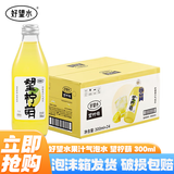 好望水果汁气泡水300mL瓶装解腻饮料原果熬制果蔬汁0脂肪微气泡结婚订婚 望柠萌300ml*24瓶