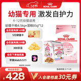 皇家幼猫 干湿搭配   K36 4.5KG+ KJP 85G*12
