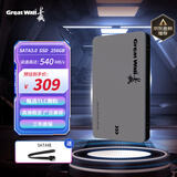 长城（Great Wall）256GB SSD固态硬盘 SATA3.0接口 读速540MB/S台式机/笔记本通用 GW560系列