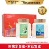 田野牧蜂洋槐花纯蜂蜜刺槐正宗水白蜜天然成熟真原蜜孕妇儿童可吃 【组合装】 470g*2瓶 刺槐蜜+紫苕雪蜜各1瓶