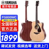雅马哈（YAMAHA）吉他FG800初学者单板民谣FS800男女学生指弹原声弹唱电箱入门吉它 41英寸FG800MC 原木哑光缺角原声