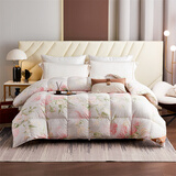 奈士迪 95%白鹅绒被柔面料羽绒被子冬天被芯95%白鹅绒冬被冬季 冬厚被 清露花笺 200*230cm春秋款（填充700g）