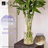 九千谷大号富贵竹加厚玻璃花瓶水培龙竹客厅落地装饰桌面摆件高40cm2408