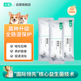 小宠肠胃宝 升级款宠物益生菌3条