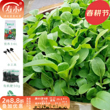 寿禾 20天鸡毛菜种子四季小青菜冬春季蔬菜小白菜油菜上海青阳台菜籽 鸡毛菜家庭套餐（含50g种子）