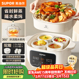 苏泊尔（SUPOR）电炖锅 电炖盅 隔水炖家用多功能煲汤炖汤盅陶瓷燕窝炖盅一盅五胆蒸炖一体多用途锅 DZ25YC886