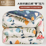 雅鹿·自由自在A类抗菌纤维被子被芯秋冬天季单双人加厚棉被6斤200x230cm 繁花