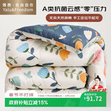 雅鹿·自由自在A类抗菌纤维被子被芯秋冬天季单人加大被褥棉被5斤180x220cm 繁花