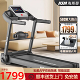 海斯曼（healthmate）跑步机家庭用减肥专用走步机智能静音减震可折叠室内小型健身器材 彩屏版/实景模拟模式+按摩机/MT03