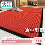 大江入户地垫脚垫进户门2025年新款门垫玄关地毯门口入户60x90cm