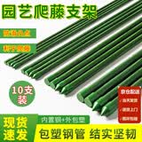 墨一【送货上门】爬藤架葡萄黄瓜豆角架种菜花支架庭院园艺花卉支撑杆 粗11mm长180cm10支 特大