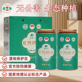 日照绿茶碧螺山有机绿茶桶装400g清香型栗香山东特产礼品