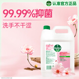 滴露（Dettol）洗手液补充装大桶消毒滋润5L 儿童家庭装杀菌护手