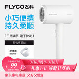 飞科 FLYCO 电吹风机宿舍用 柔风负离子恒温护发 家用冷热大风量快速干发吹风筒FH6290 1800W