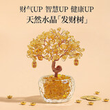 范爷家黄水晶发财树摆件入户玄关招财树办公室工位装饰品闺蜜生日礼物