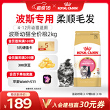 皇家猫粮 波斯幼猫粮 KP32 通用粮 4-12月 2KG